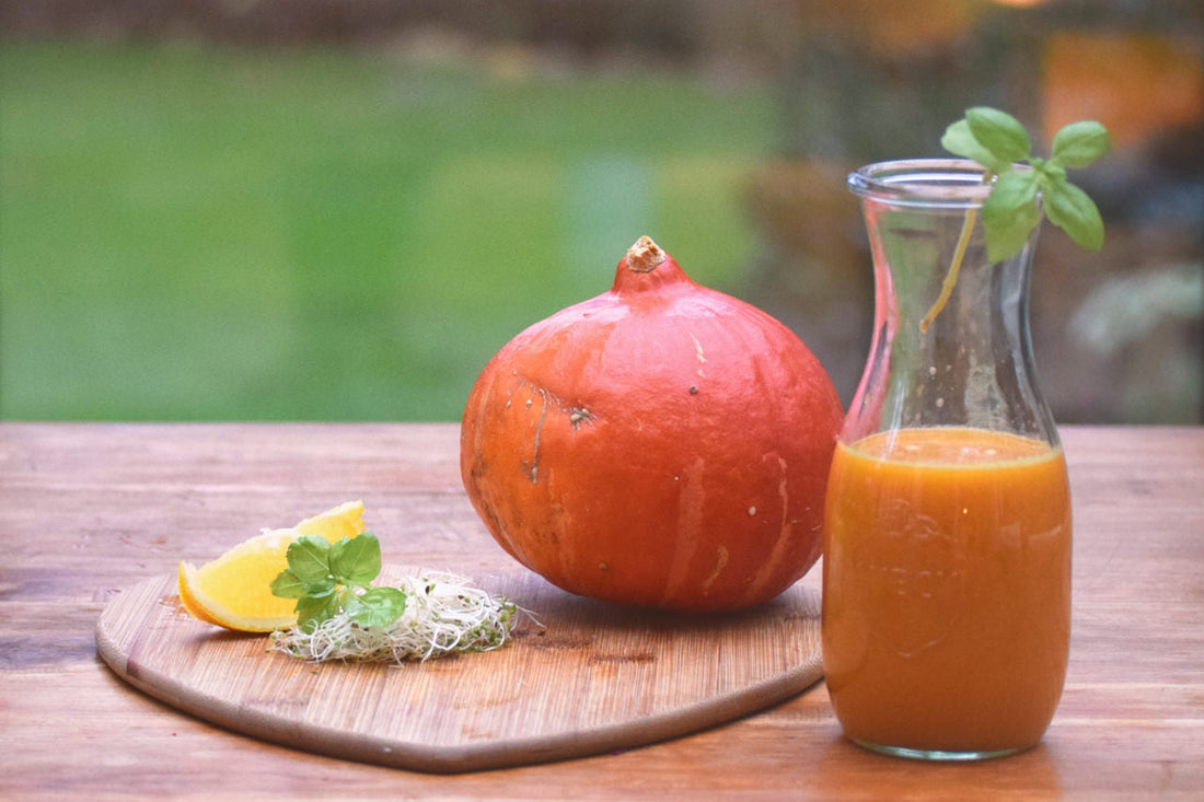 Saft Rezept – Kürbis Birne Alfalfa-Sprossen