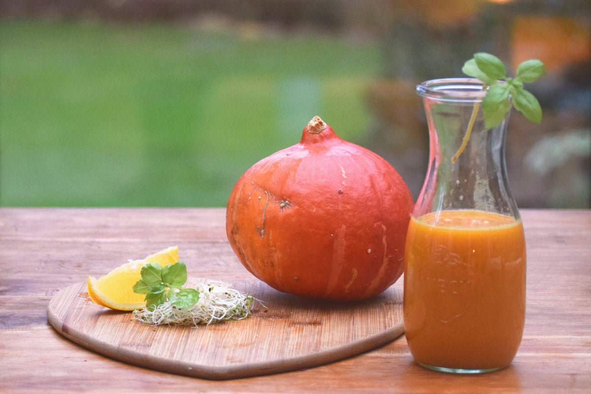 Saft Rezept – Kürbis Birne Alfalfa-Sprossen